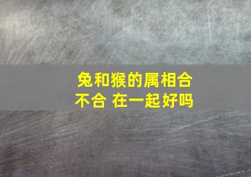 兔和猴的属相合不合 在一起好吗